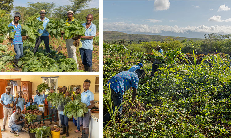“Food for a Lifetime…”