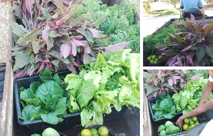 Corinthians 9:6, “Whoever sows generously will also reap generously.” 