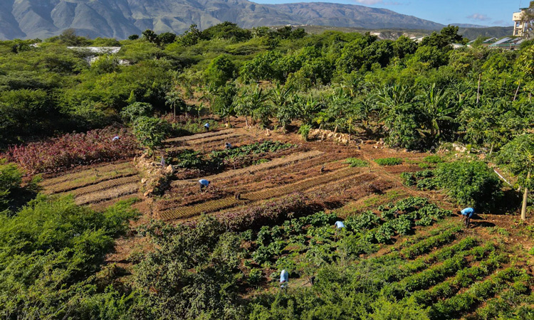 Thank You to our Donors…