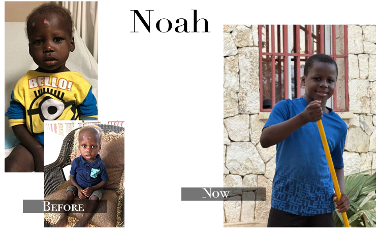 Noah… From Rescued to Thriving!