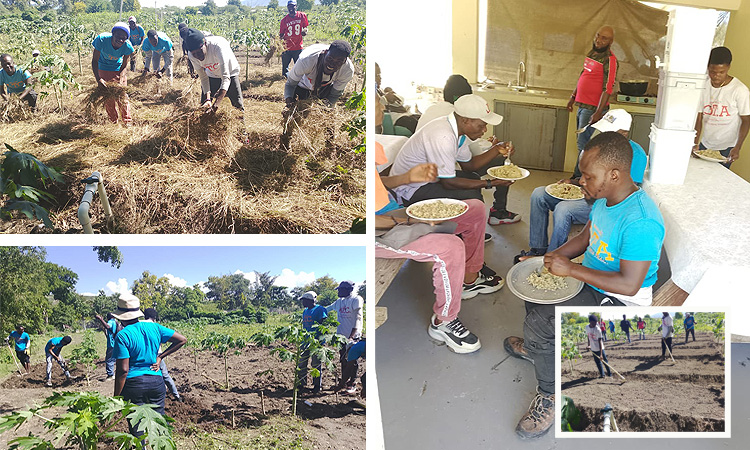 “Intercropping and Companion Planting to Optimize Garden Output”