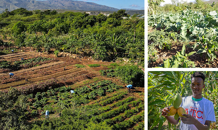 Jeremiah 29:5 – “Therefore, plant gardens and eat what they produce…”