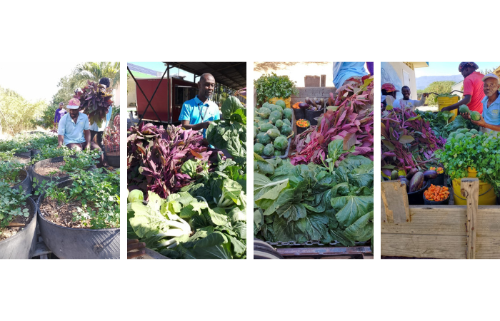 “Victory” gardens have an important role.