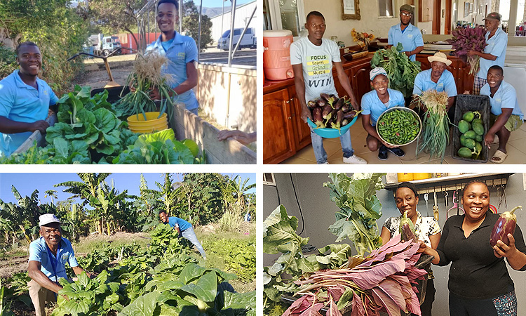 “As long as the earth endures, seedtime and harvest… will never cease.” – Genesis 8:22