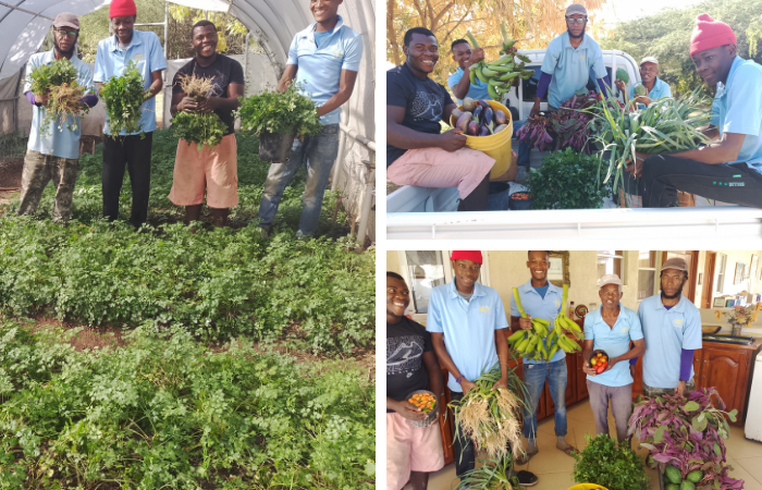 Beautiful Vegetables!