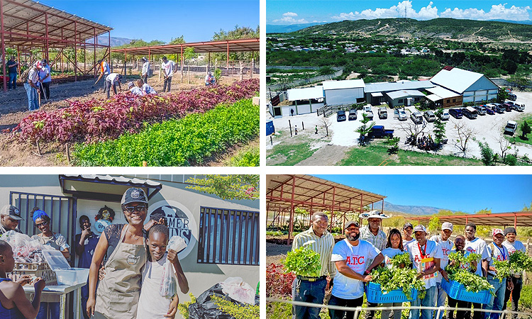 Development for Sustainability Helps Haitians Help Themselves…