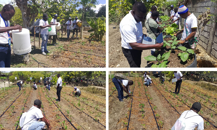 “Anpil Lapili…”