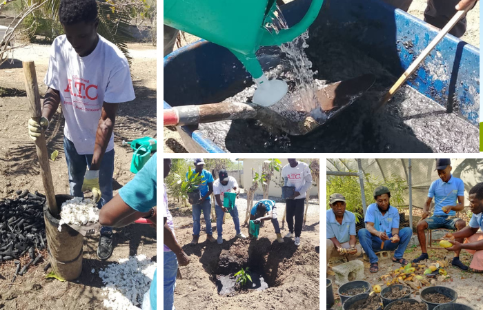 Planting Today for a Better Tomorrow: Mango Trees at the ATC