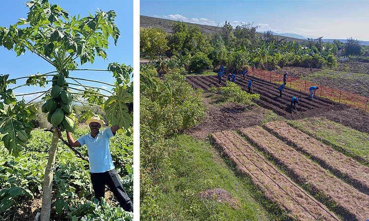 The Roots of Cyclical Poverty