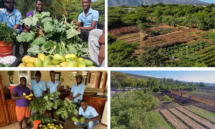 Greater Self-Reliance From Greater Harvests