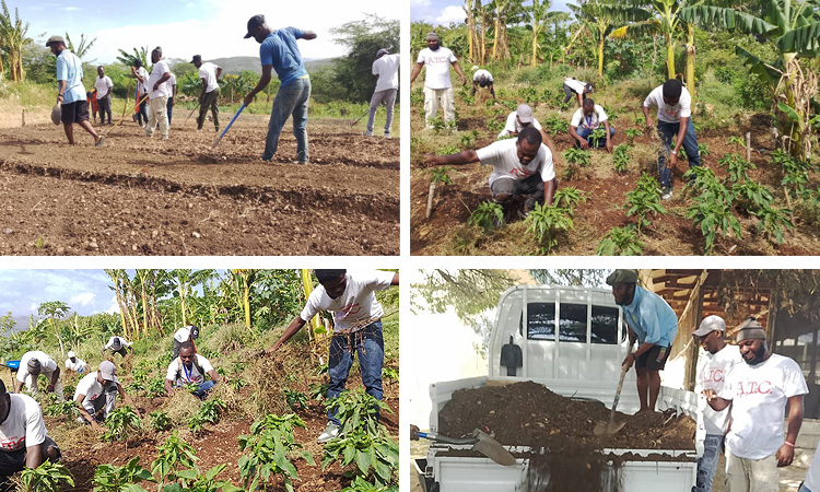 The Importance of “Good Soil”