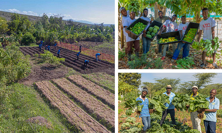 Development for Sustainability