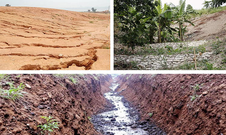 Erosion Control: “Slow it, Spread it, Soak it”