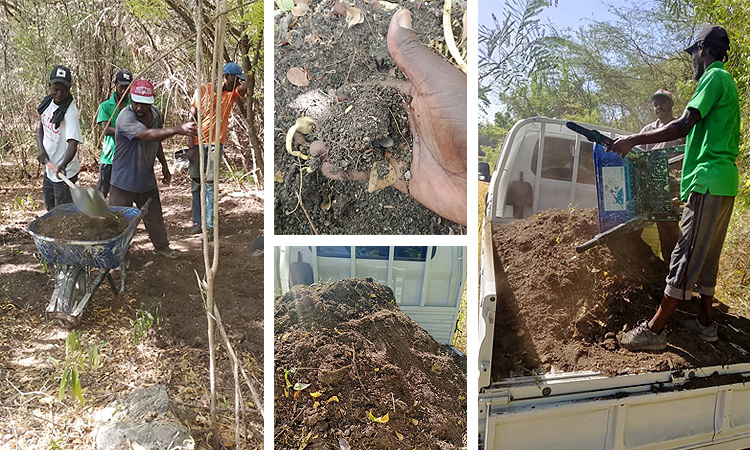 A Gift From God: Nature’s Own Compost