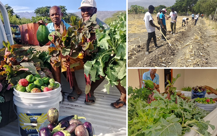 Growing Sustainability: A Week of Progress at the Agriculture Training Center