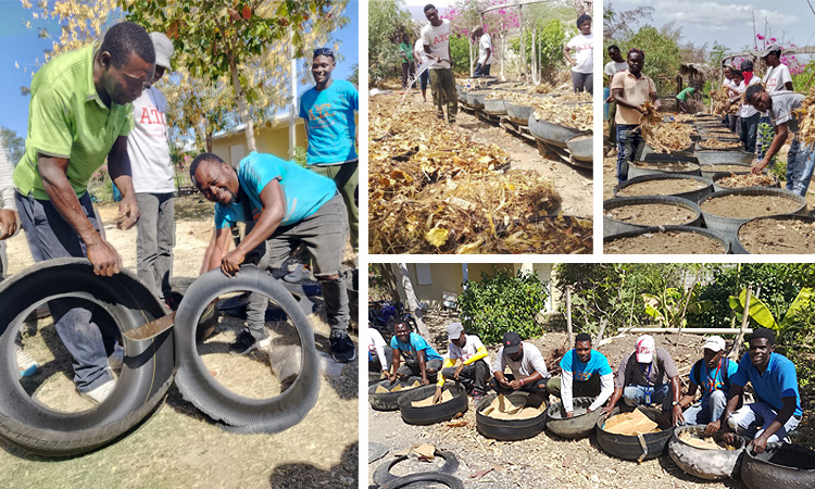 New Gardens out of Old Tires…