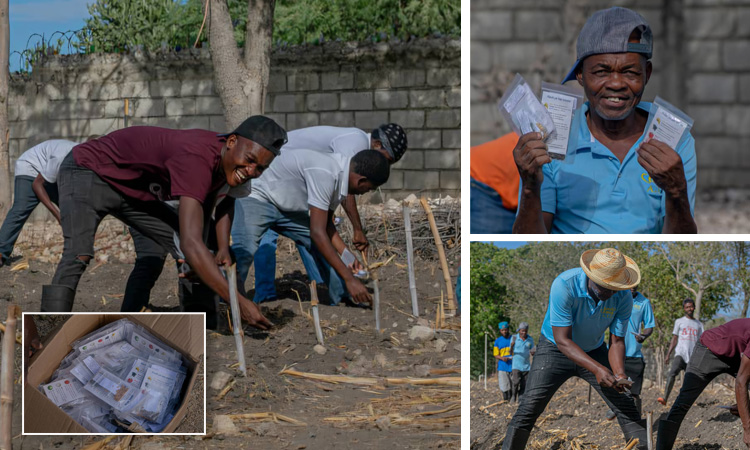 A tiny seed can help change a family’s future.
